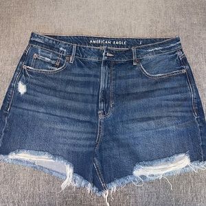 American Eagle Tom Gurl Denim High Waisted Shorts